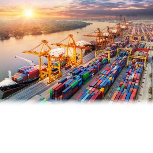 テキストが入ります