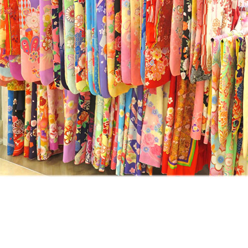 テキストが入ります