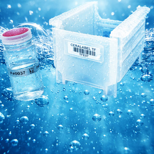 テキストが入ります