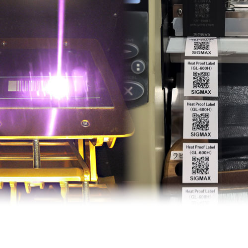 テキストが入ります